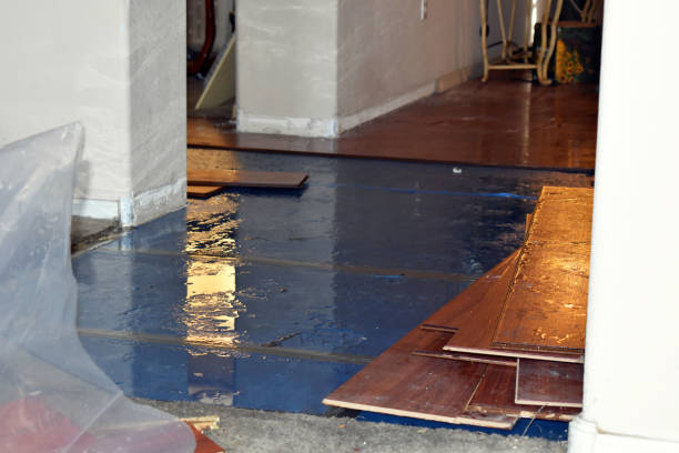 Professional Basement Water Removal technician working in Springville, CA